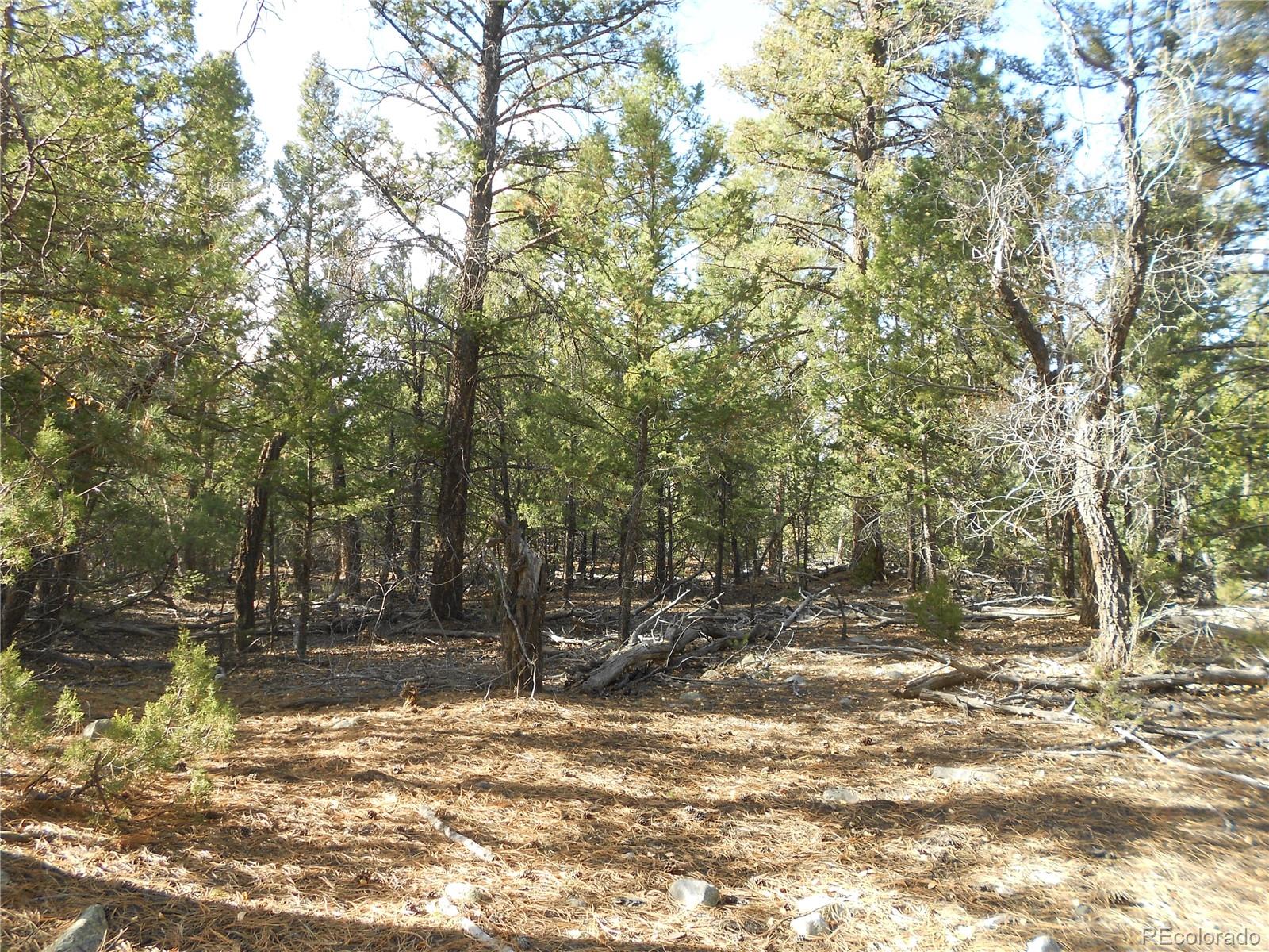 206 W Zapata Place Mosca CO 81146