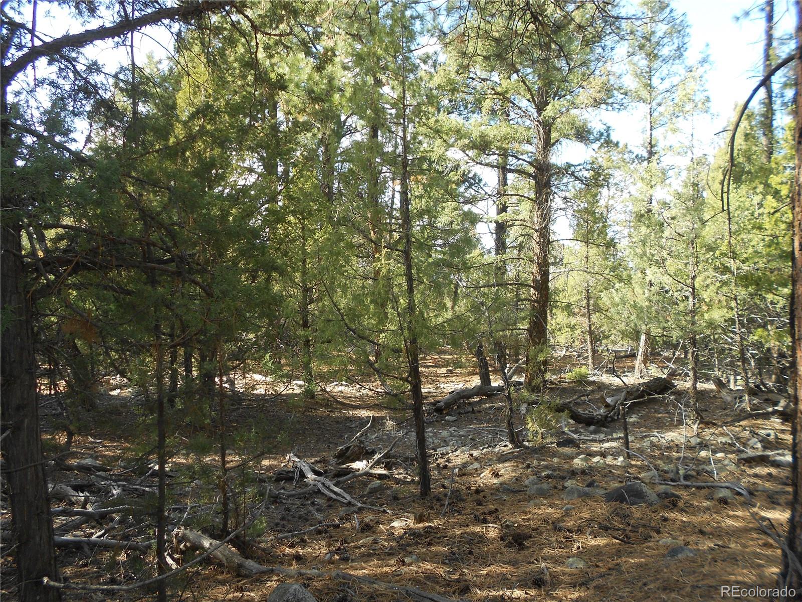 206 W Zapata Place Mosca CO 81146