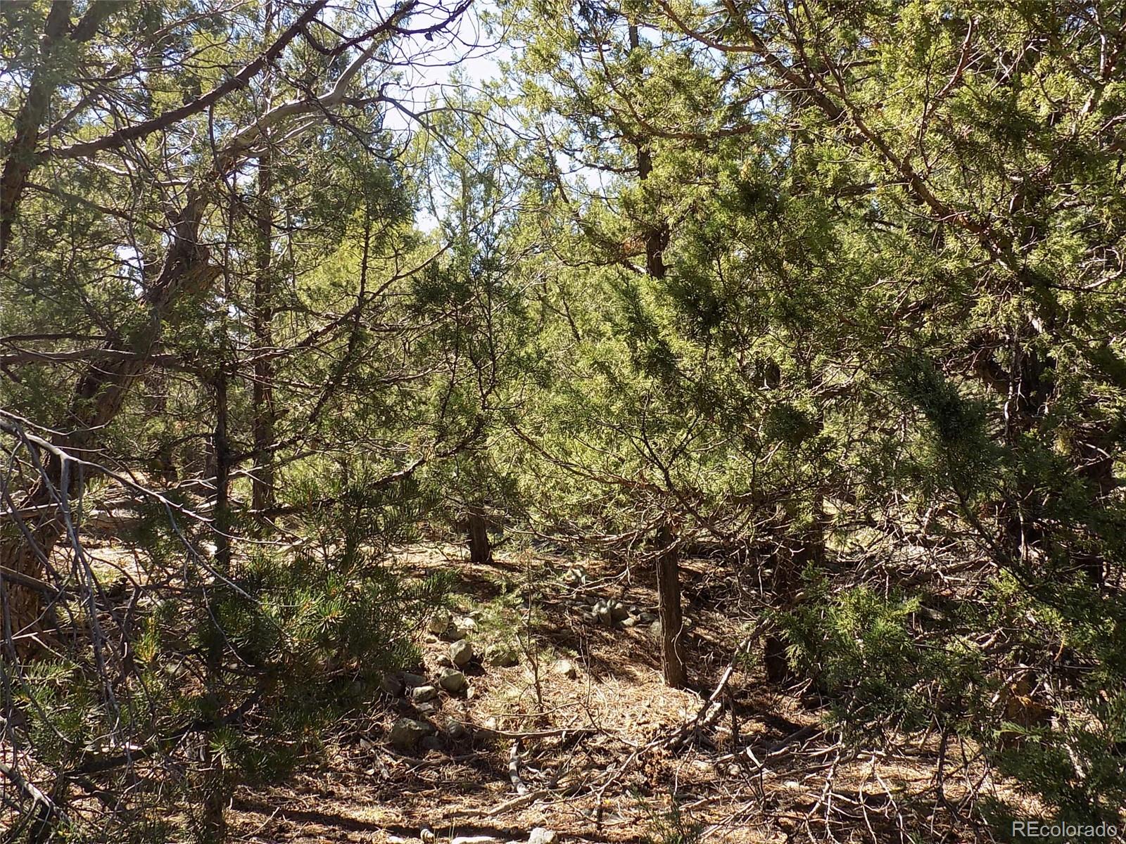 206 W Zapata Place Mosca CO 81146
