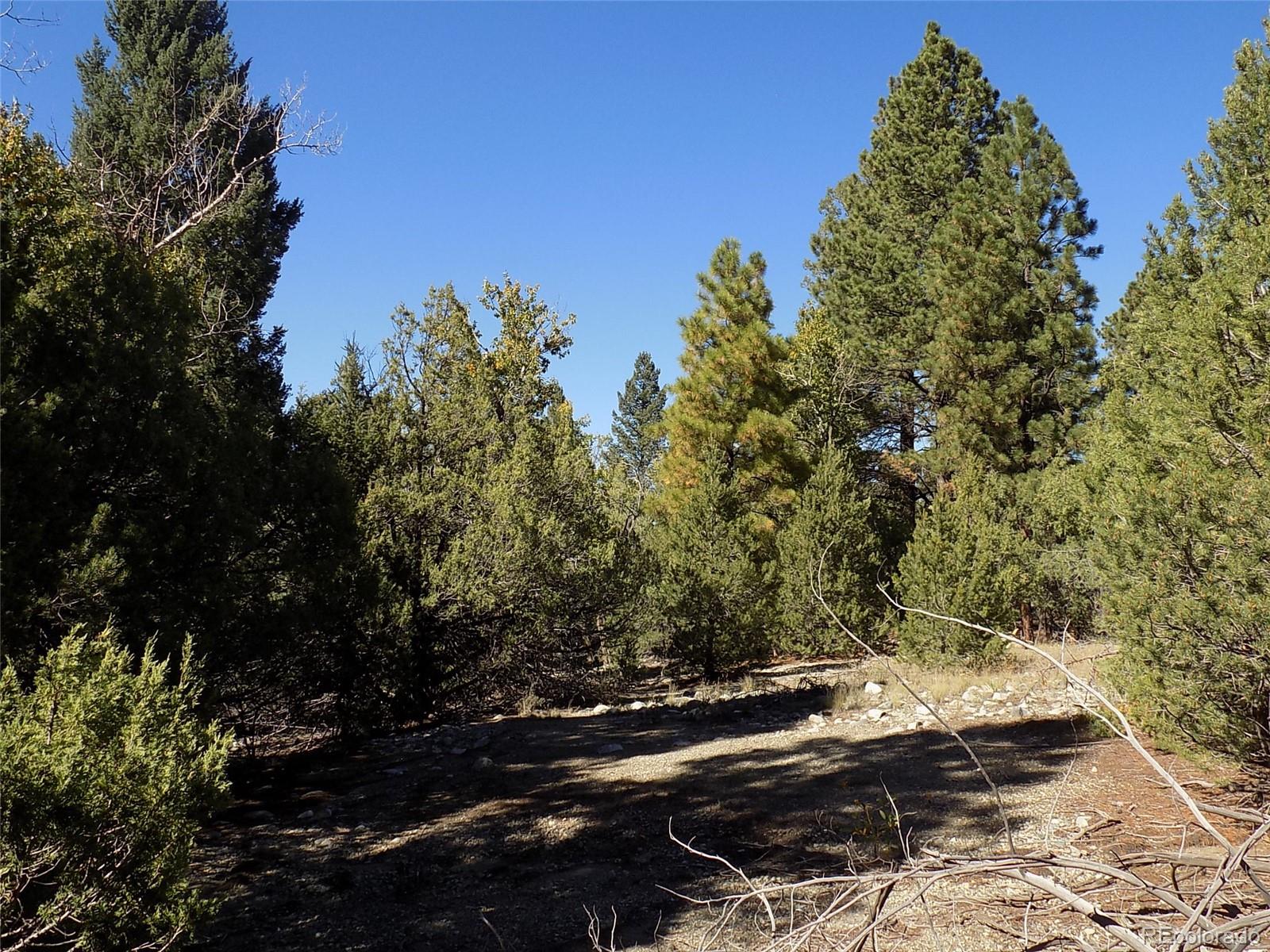 206 W Zapata Place Mosca CO 81146