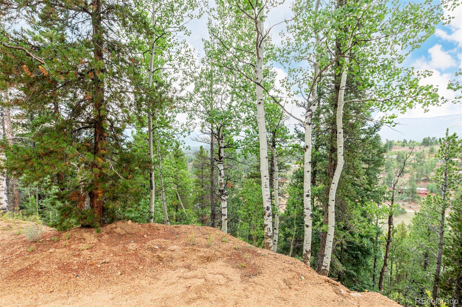 427 Wise Road Bailey CO 80421