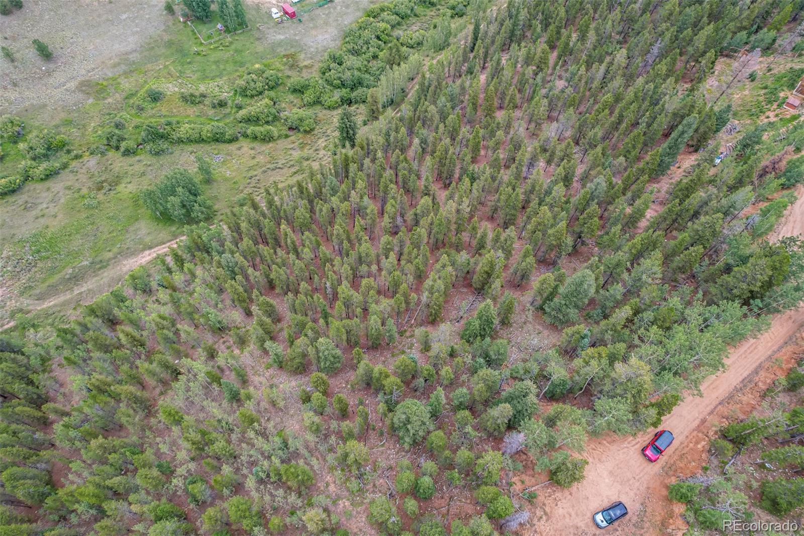 427 Wise Road Bailey CO 80421