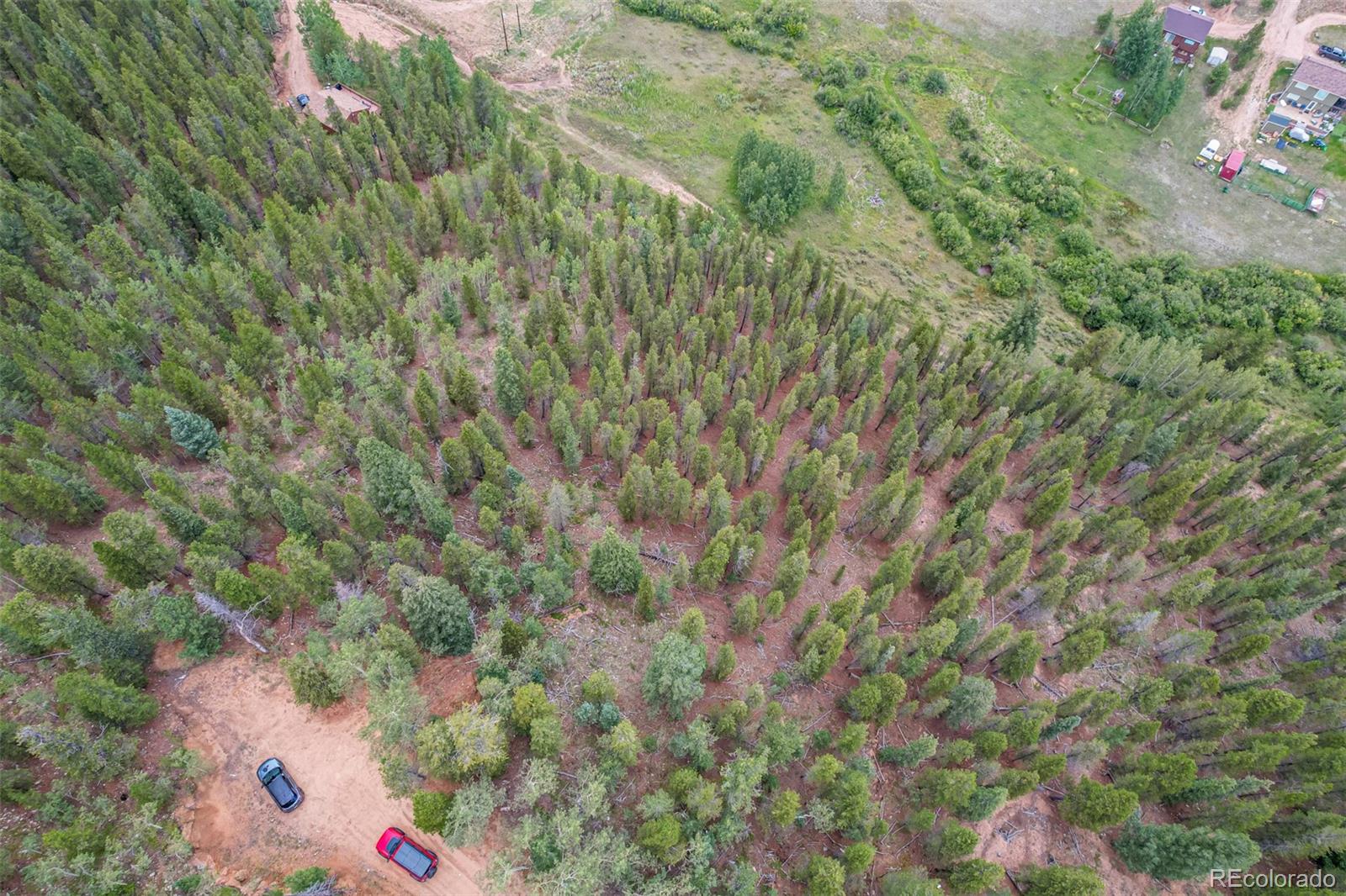 427 Wise Road Bailey CO 80421
