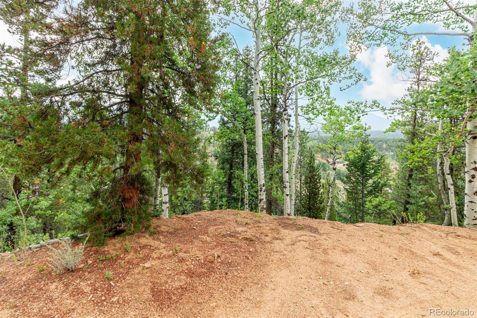 427 Wise Road Bailey CO 80421