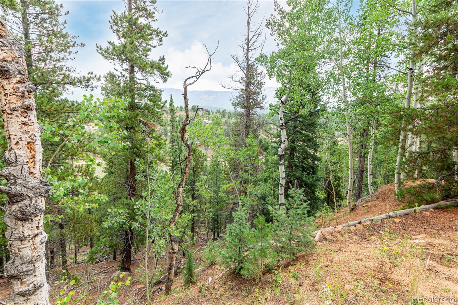 427 Wise Road Bailey CO 80421