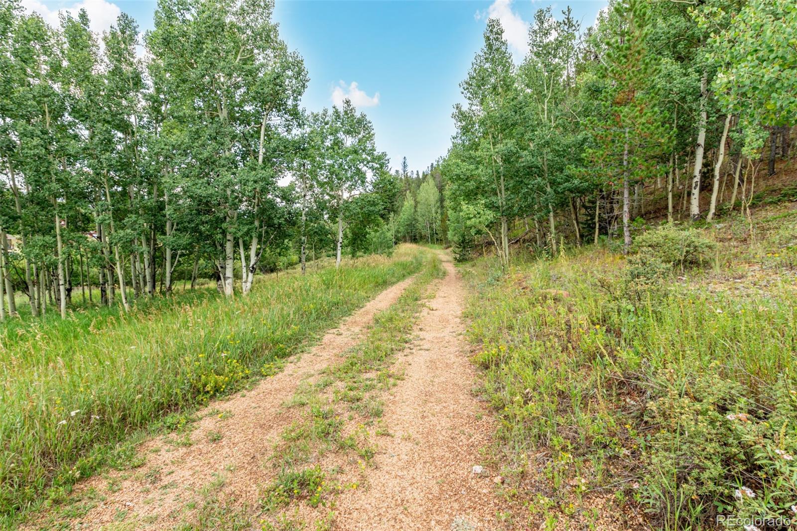427 Wise Road Bailey CO 80421