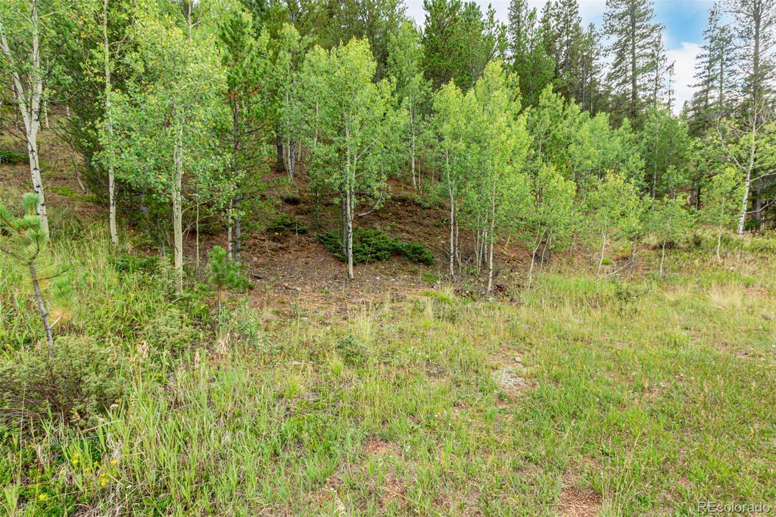 427 Wise Road Bailey CO 80421