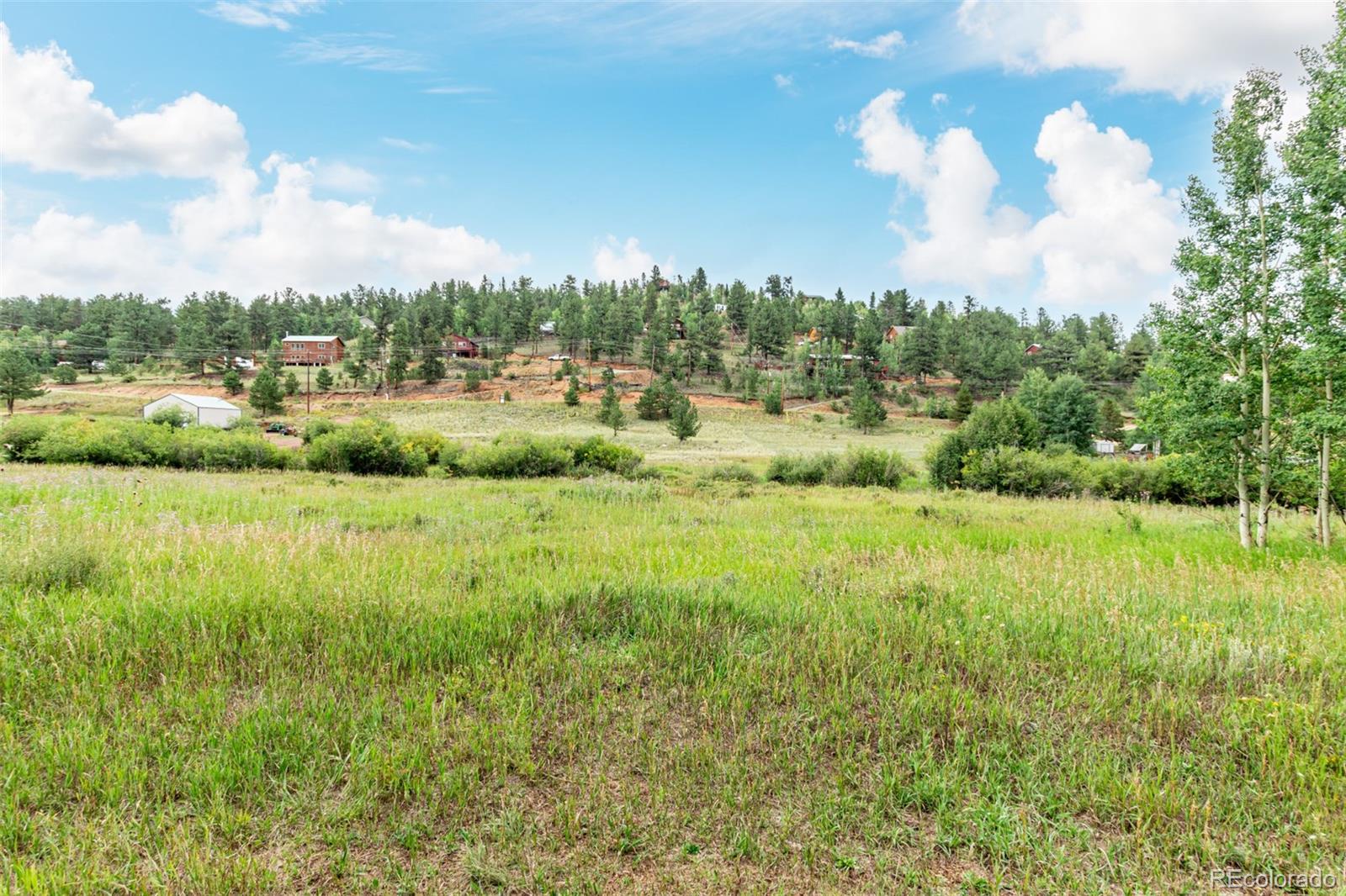 427 Wise Road Bailey CO 80421