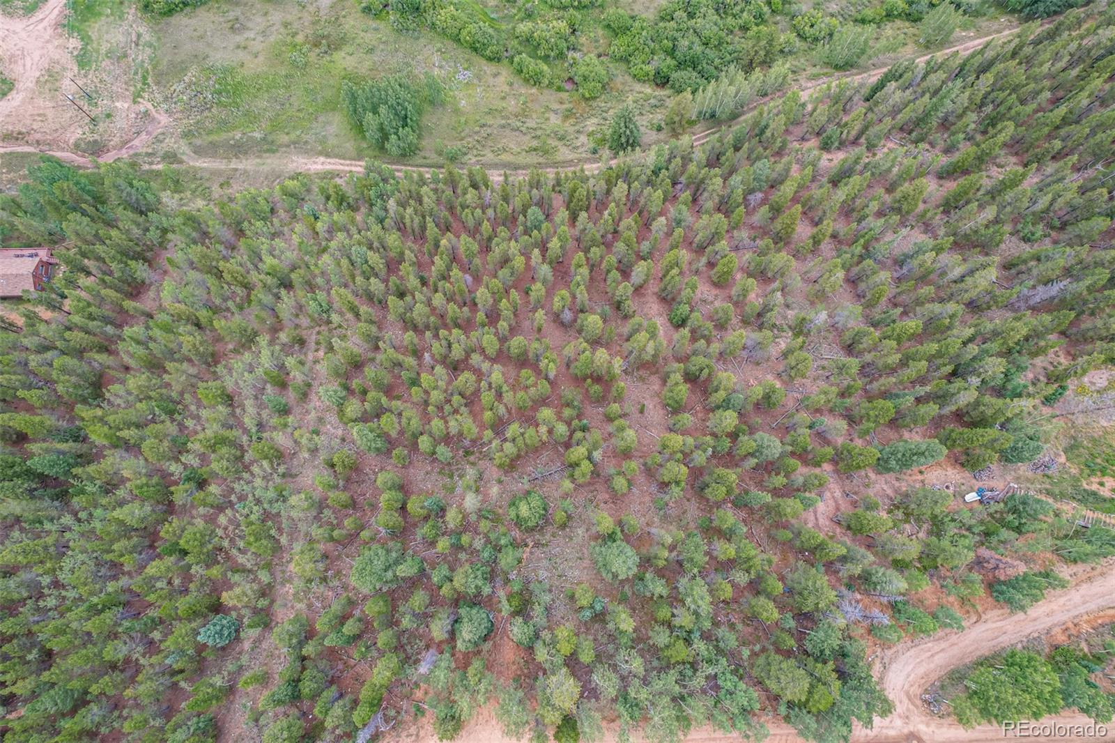 427 Wise Road Bailey CO 80421