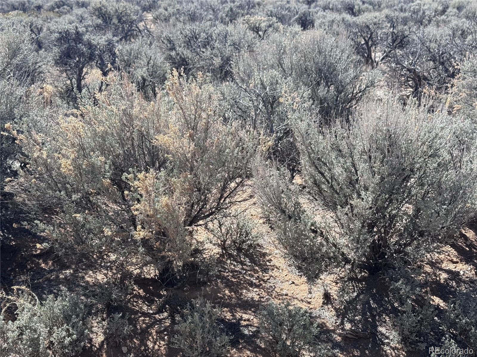 78 Acres County Road X Fort Garland CO 81133