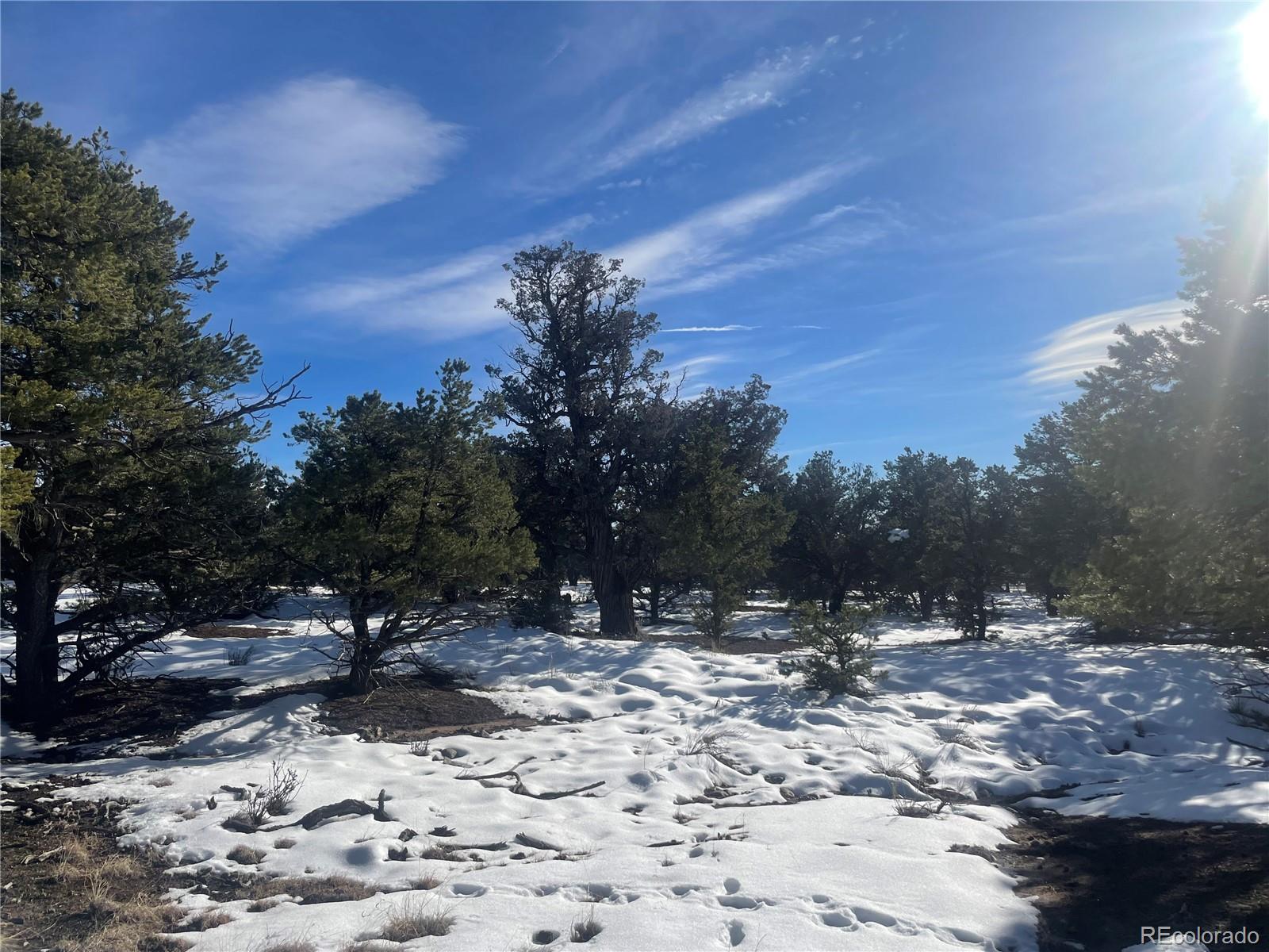 1195 Hilltop Way Crestone CO 81131