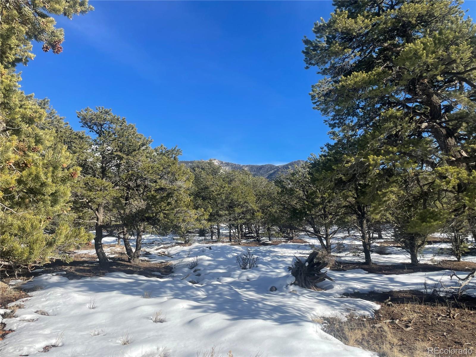 1195 Hilltop Way Crestone CO 81131