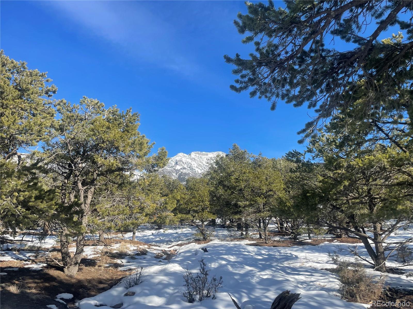 1195 Hilltop Way Crestone CO 81131