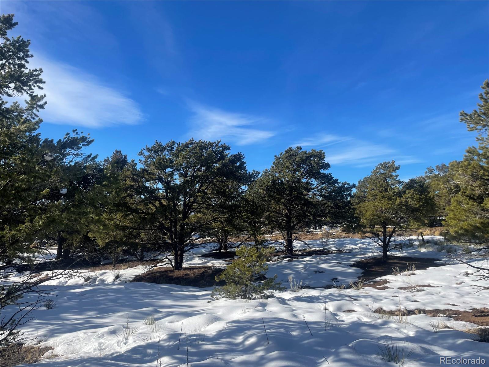 1195 Hilltop Way Crestone CO 81131