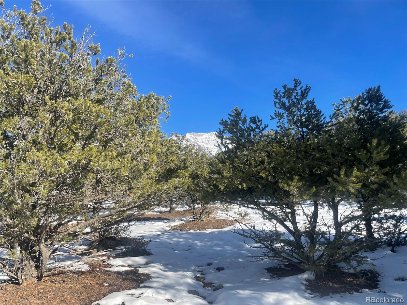 1195 Hilltop Way Crestone CO 81131