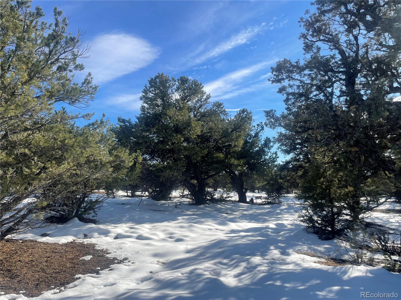 1195 Hilltop Way Crestone CO 81131
