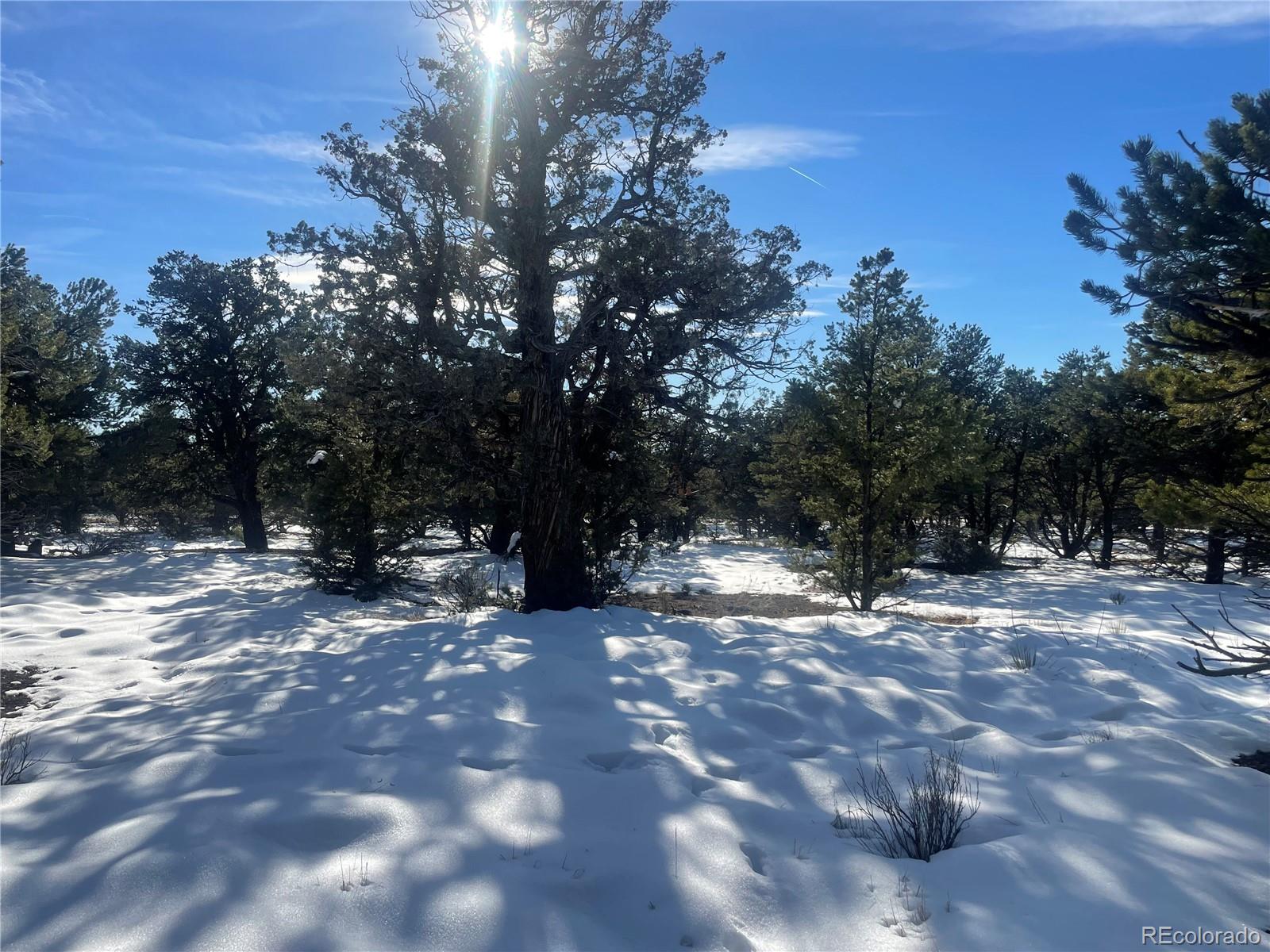 1195 Hilltop Way Crestone CO 81131