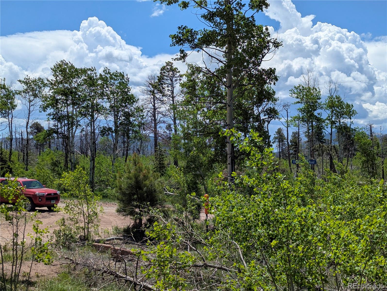 925 Forbes Park Road Fort Garland CO 81133