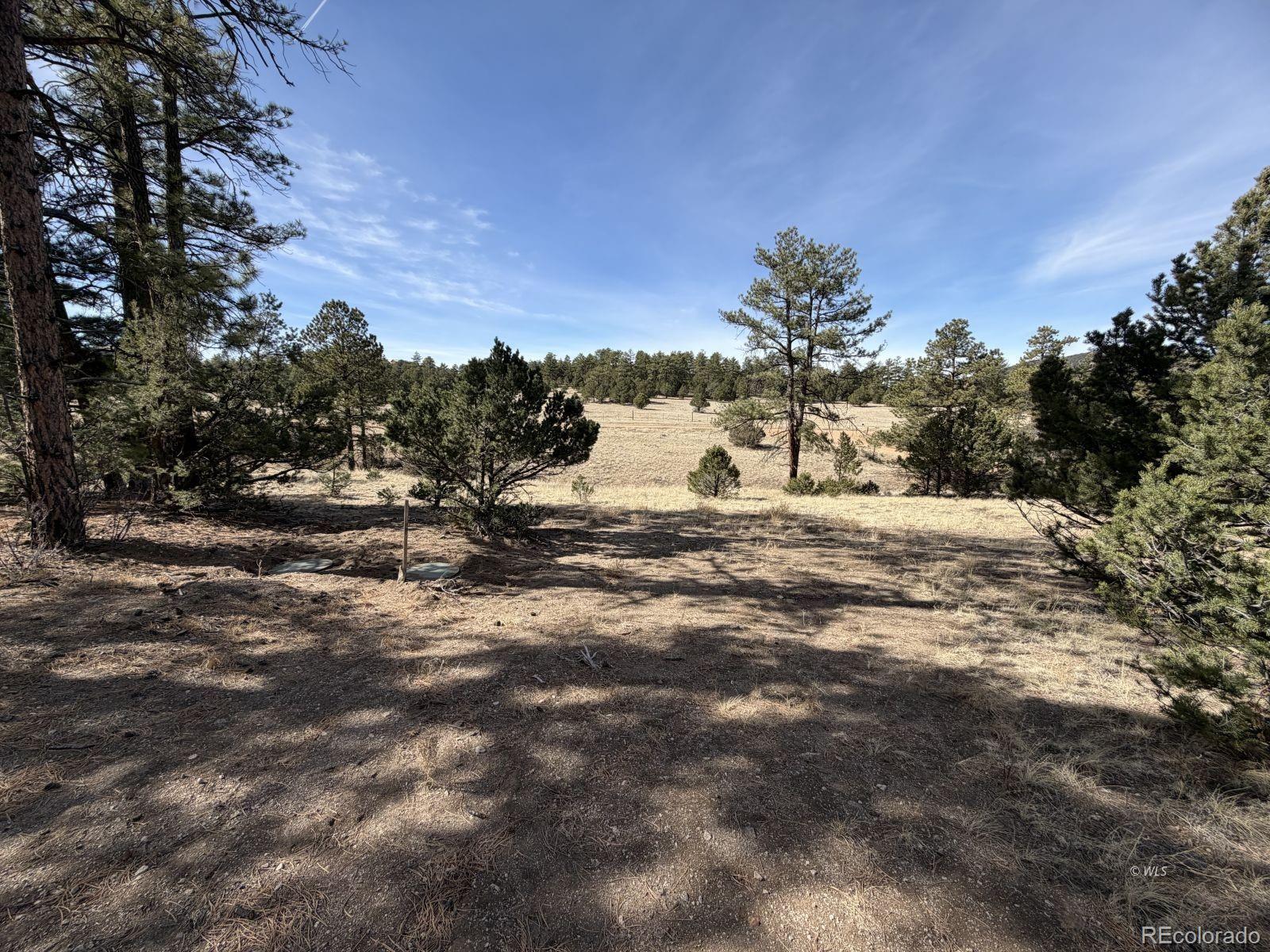 262 Harmon Drive Cotopaxi CO 81223