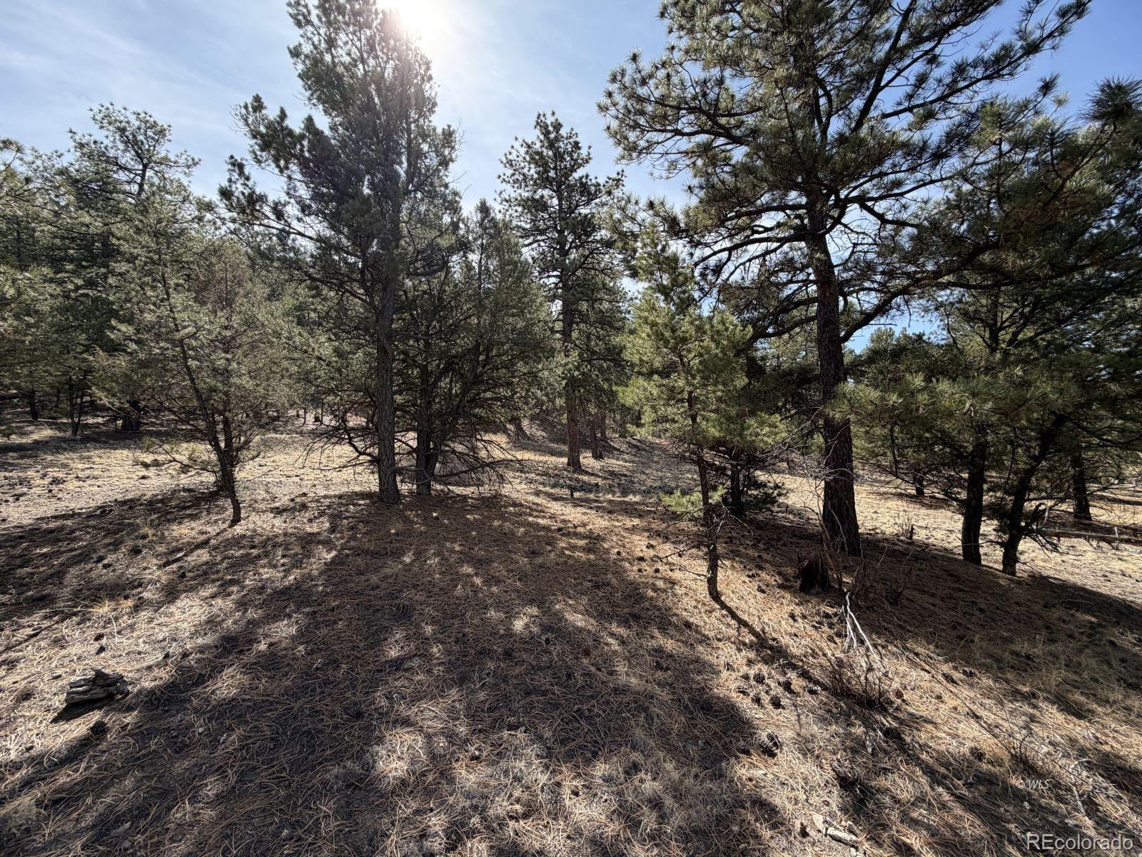 262 Harmon Drive Cotopaxi CO 81223