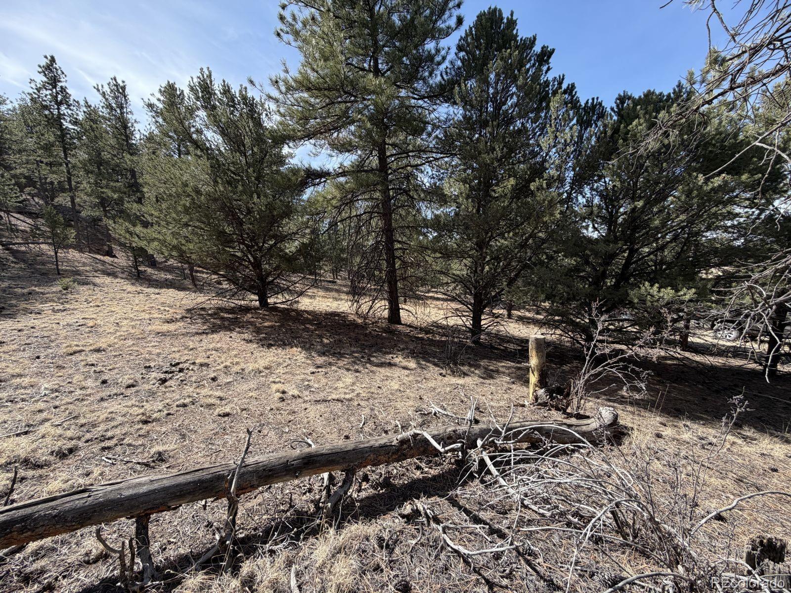 262 Harmon Drive Cotopaxi CO 81223