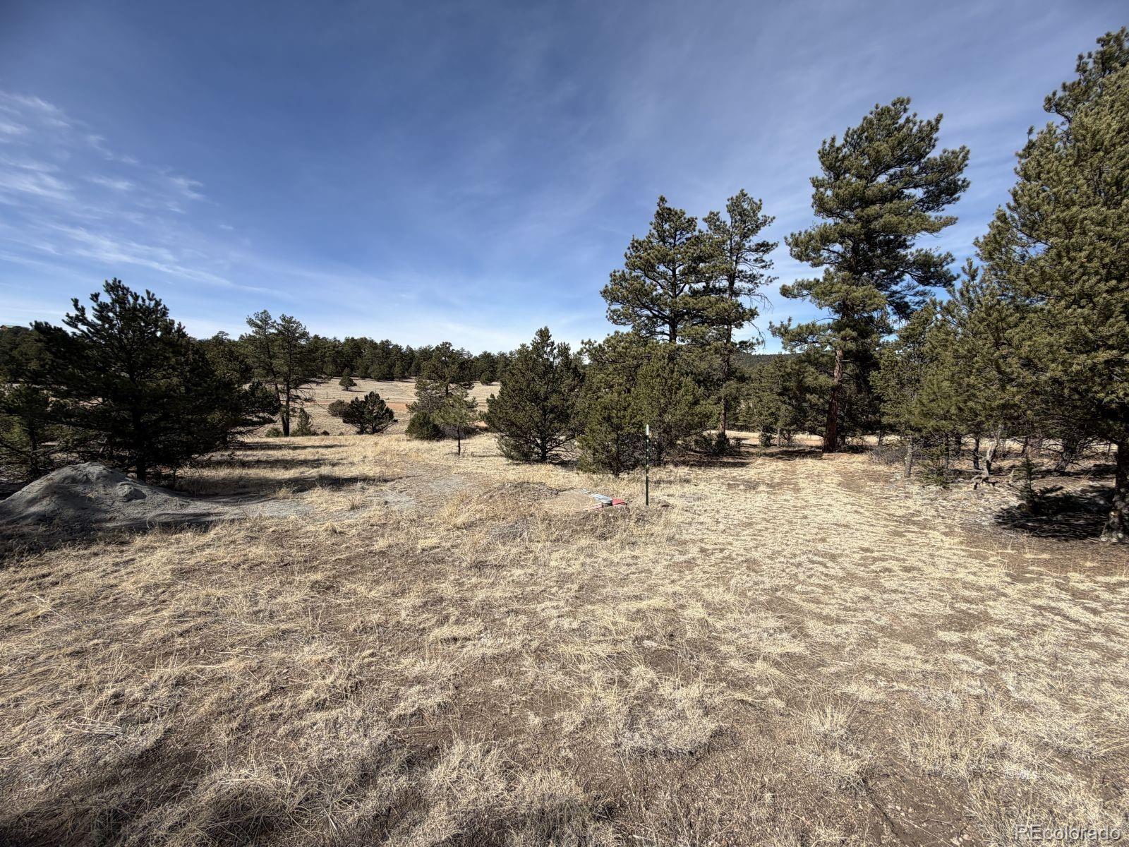 262 Harmon Drive Cotopaxi CO 81223