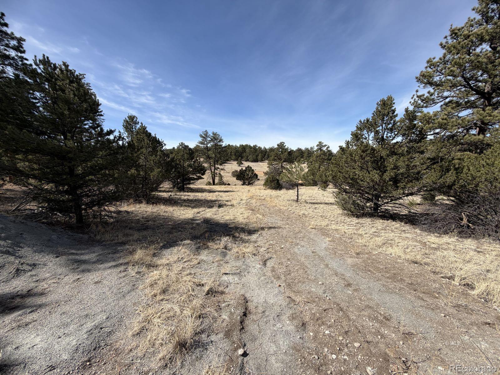 262 Harmon Drive Cotopaxi CO 81223
