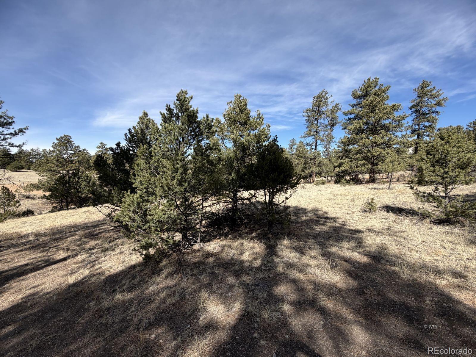262 Harmon Drive Cotopaxi CO 81223