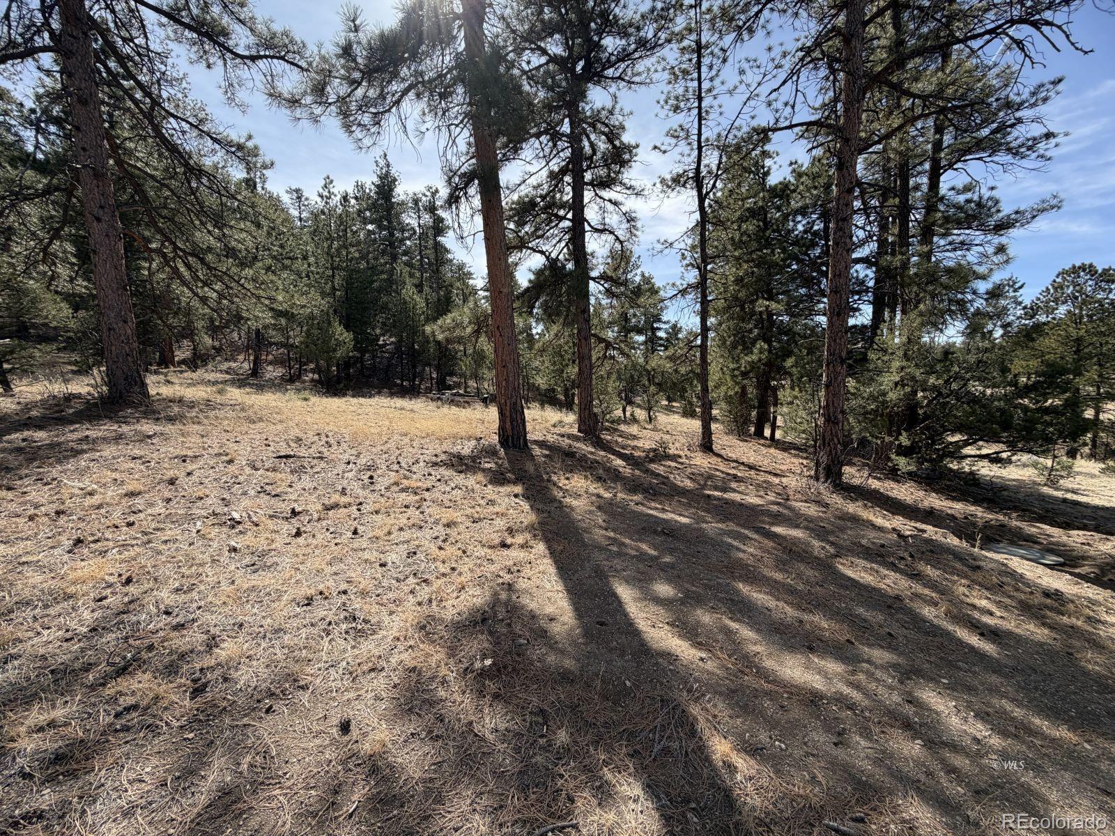 262 Harmon Drive Cotopaxi CO 81223