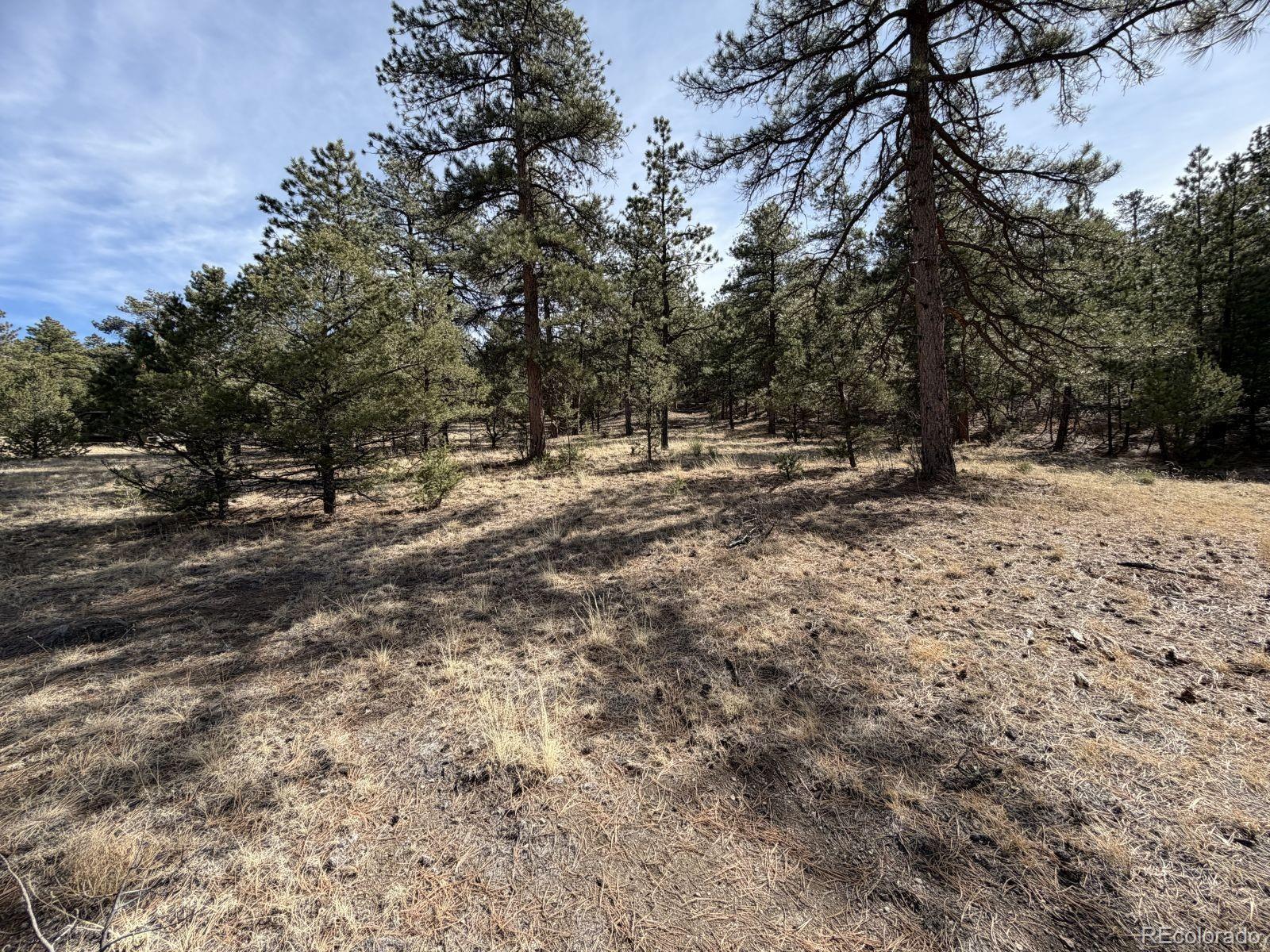 262 Harmon Drive Cotopaxi CO 81223