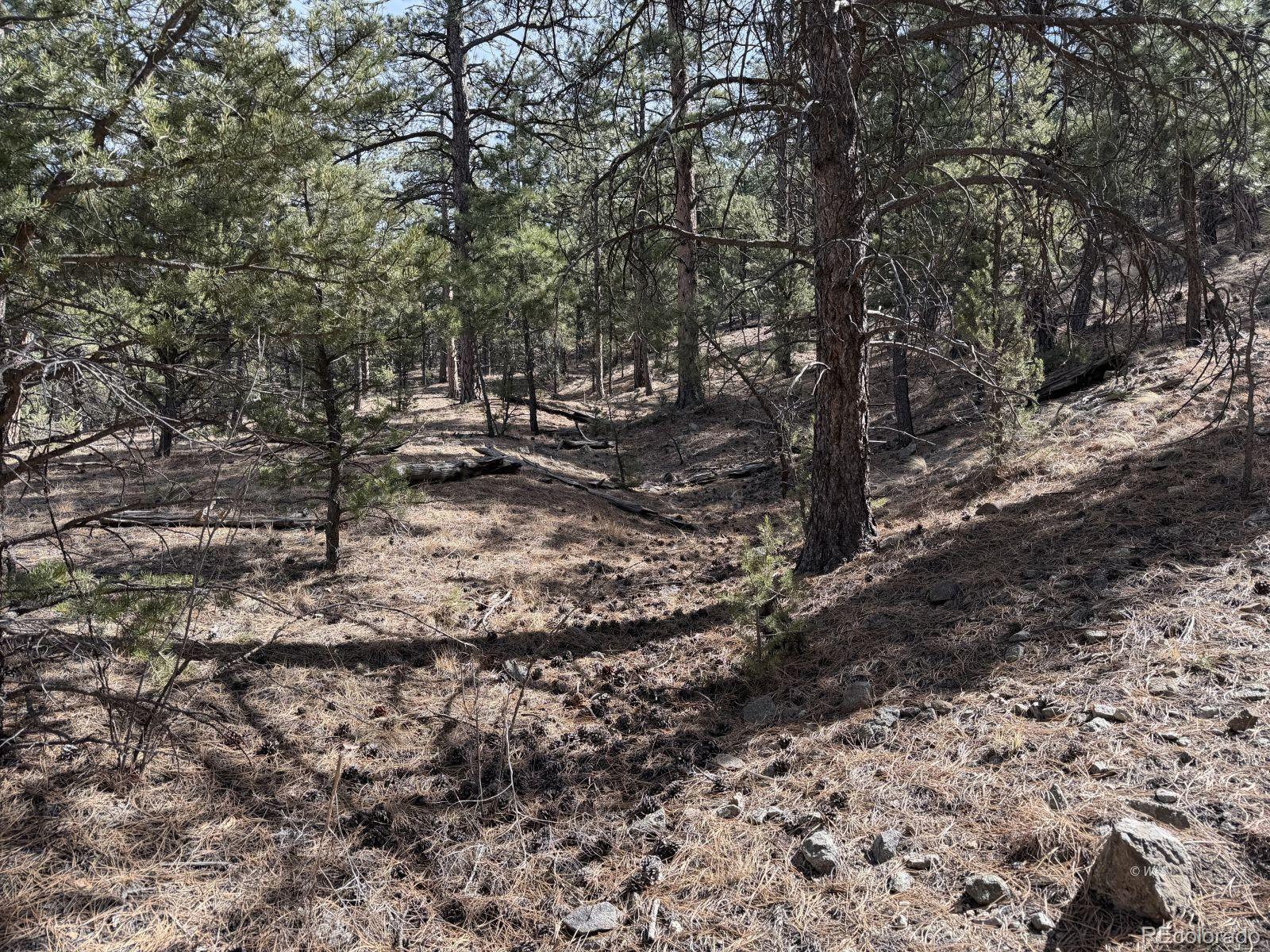 262 Harmon Drive Cotopaxi CO 81223
