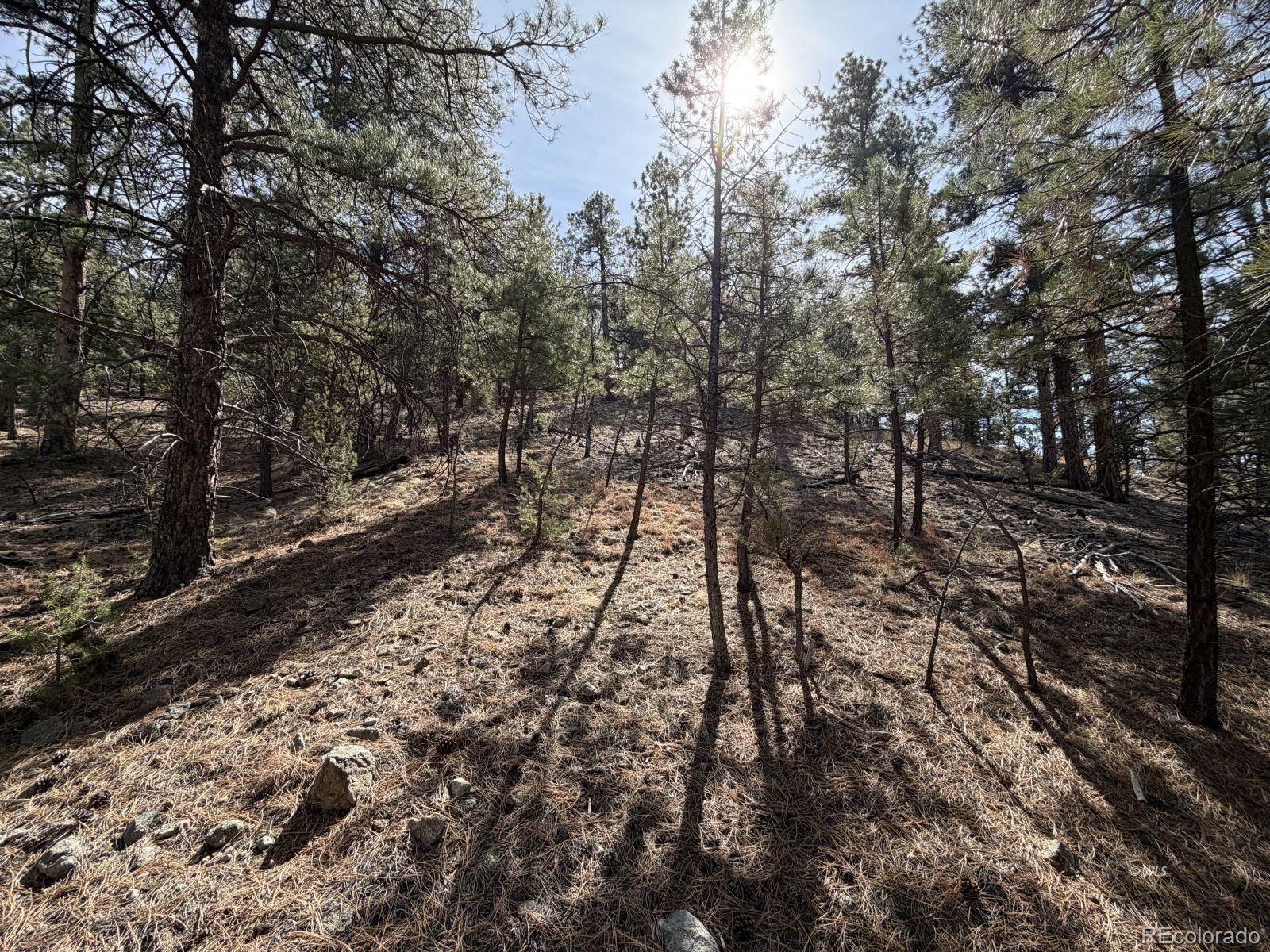 262 Harmon Drive Cotopaxi CO 81223