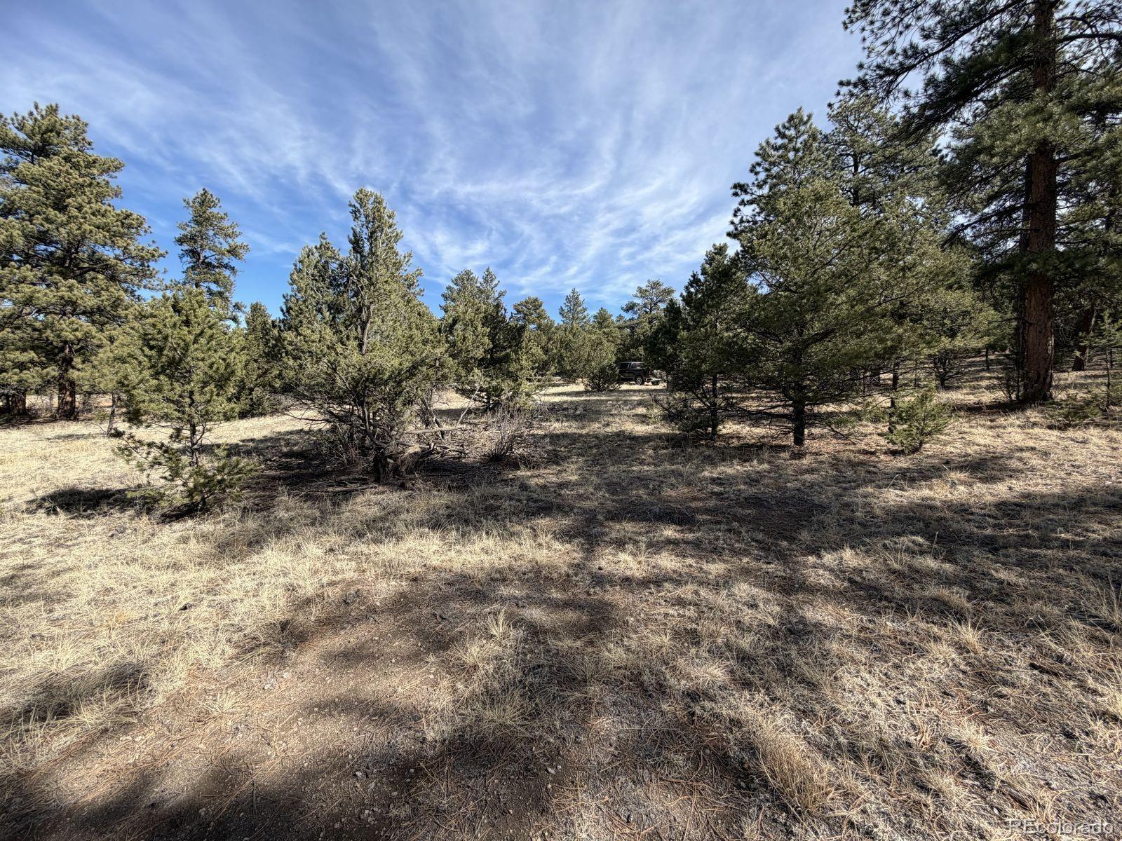 262 Harmon Drive Cotopaxi CO 81223