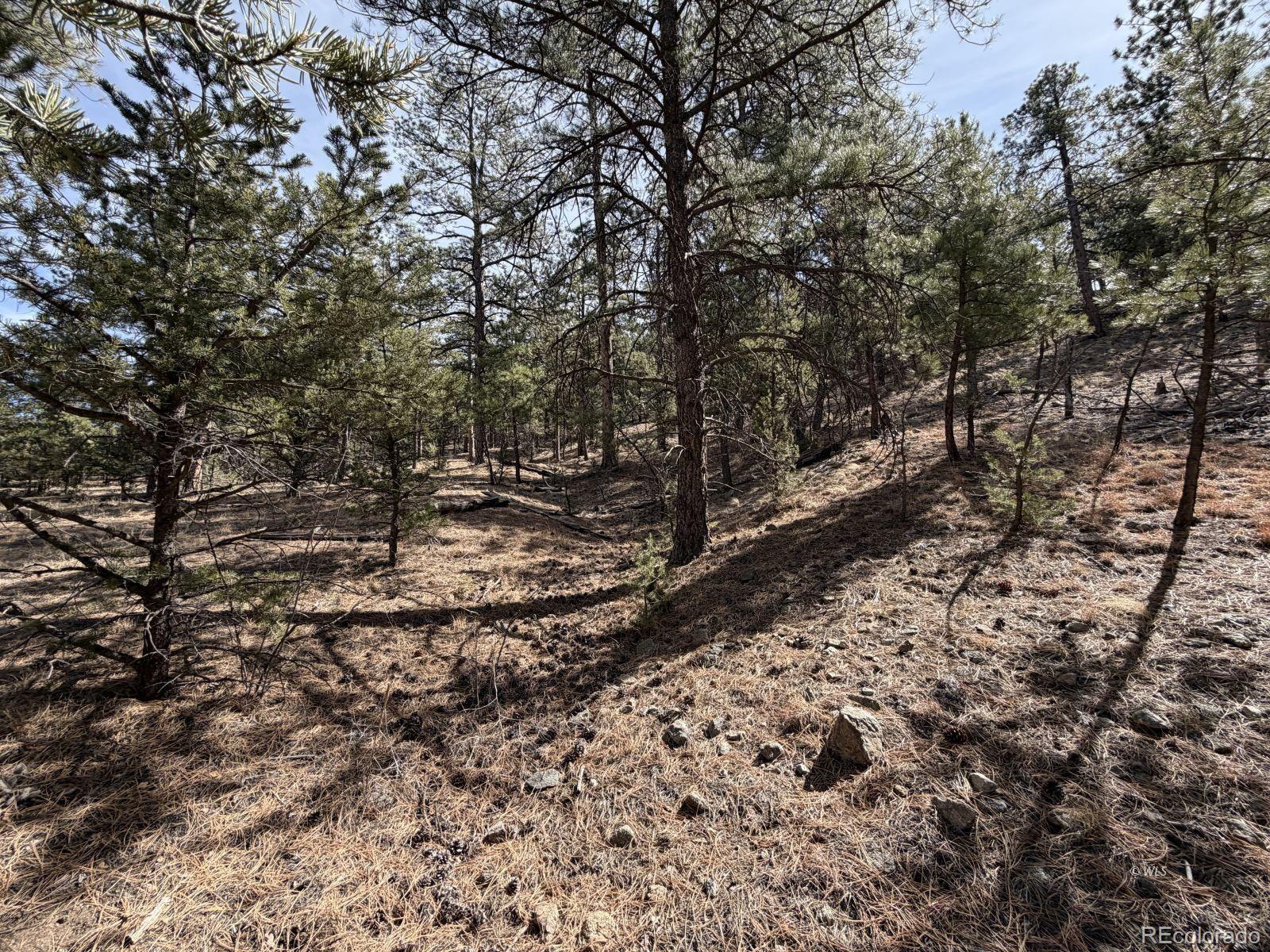 262 Harmon Drive Cotopaxi CO 81223