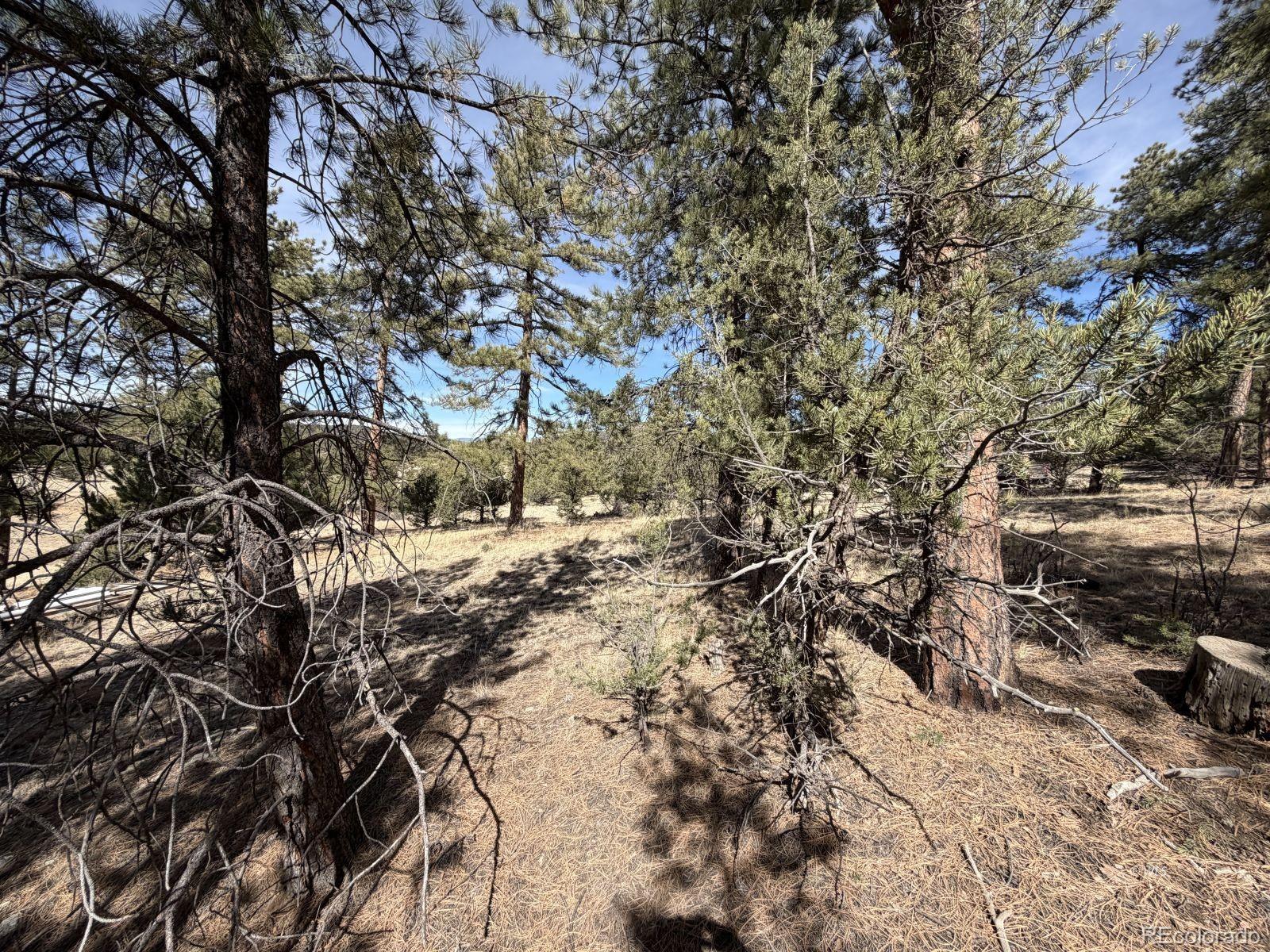 262 Harmon Drive Cotopaxi CO 81223