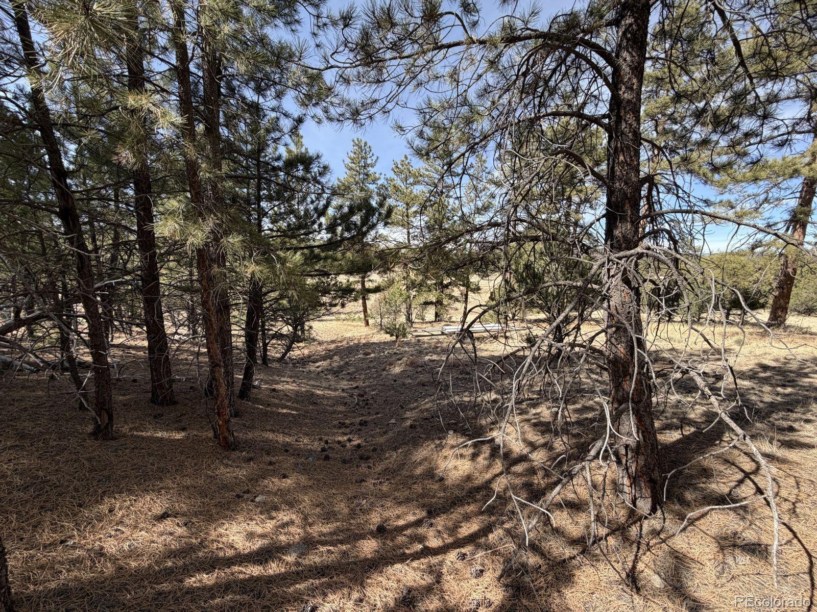 262 Harmon Drive Cotopaxi CO 81223