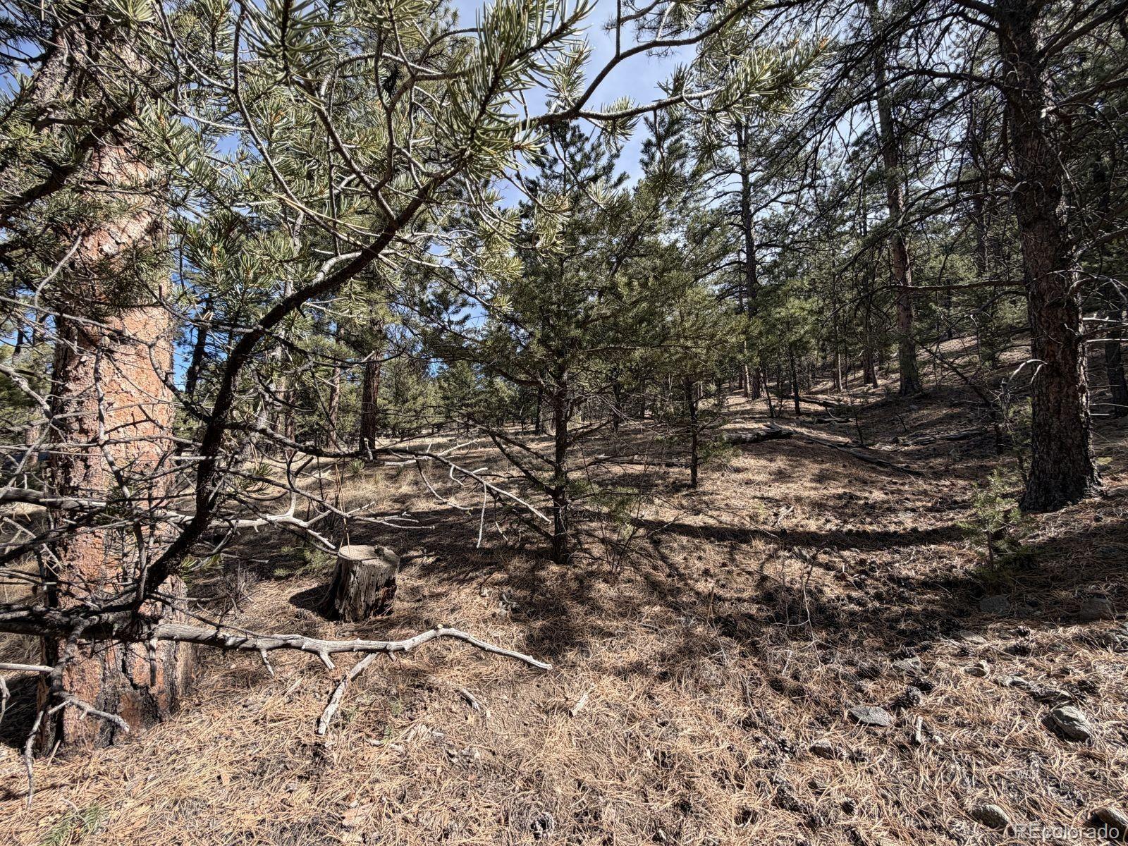 262 Harmon Drive Cotopaxi CO 81223