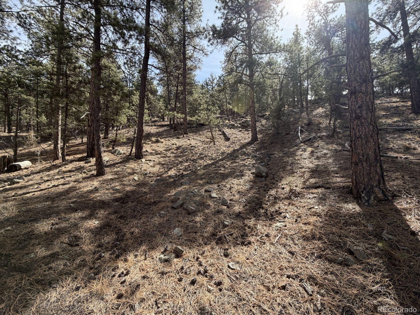 262 Harmon Drive Cotopaxi CO 81223