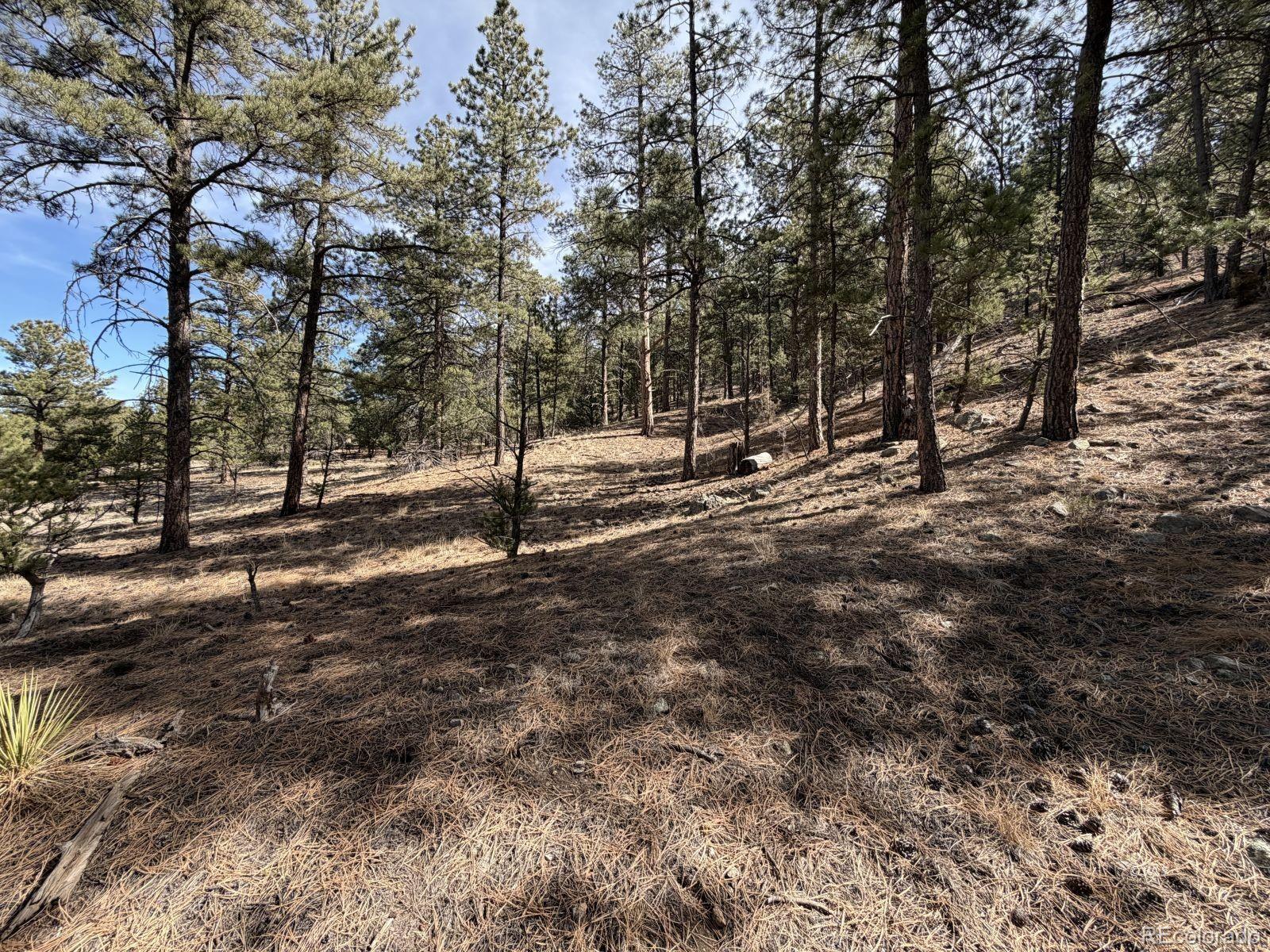 262 Harmon Drive Cotopaxi CO 81223