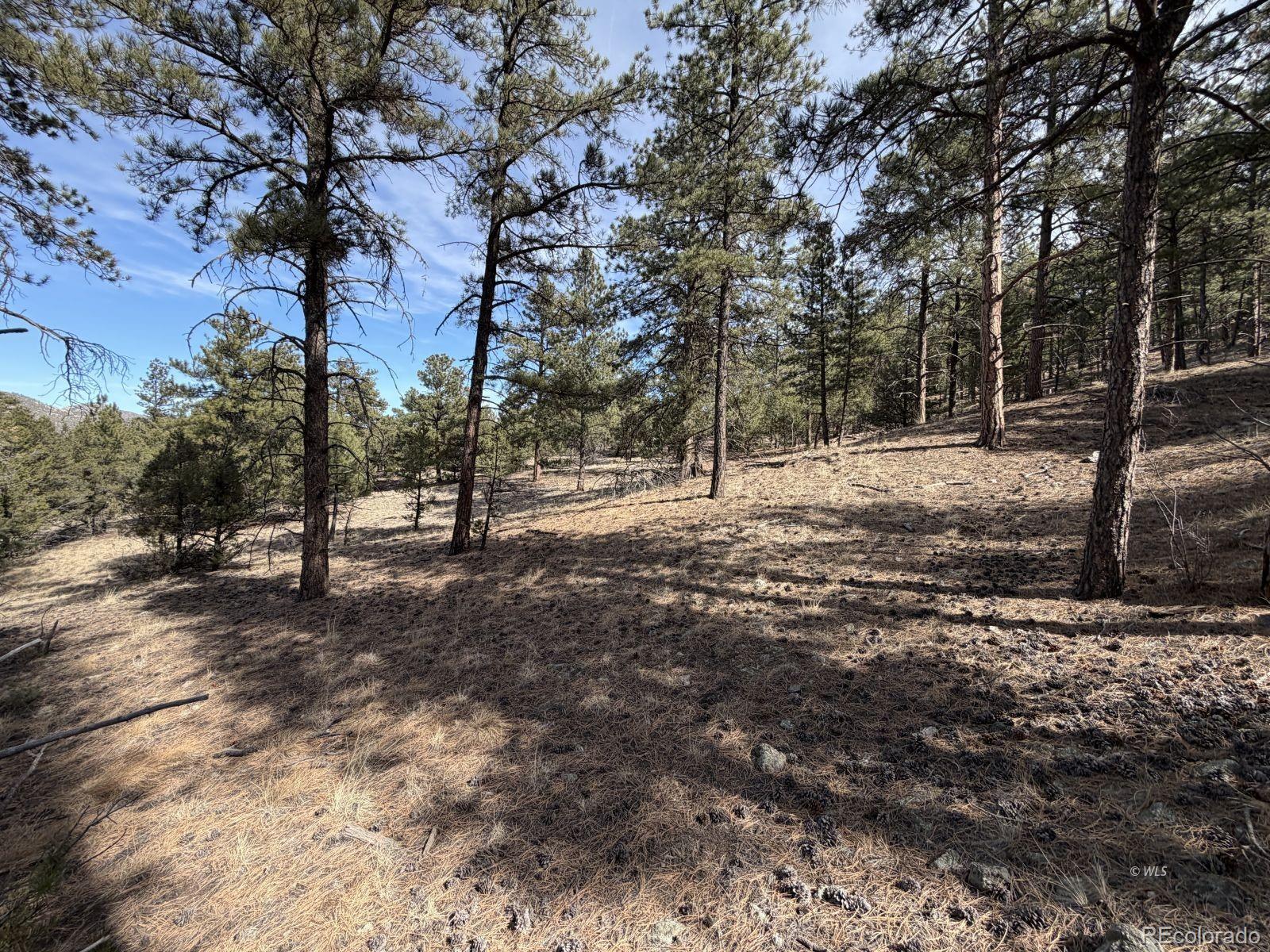 262 Harmon Drive Cotopaxi CO 81223