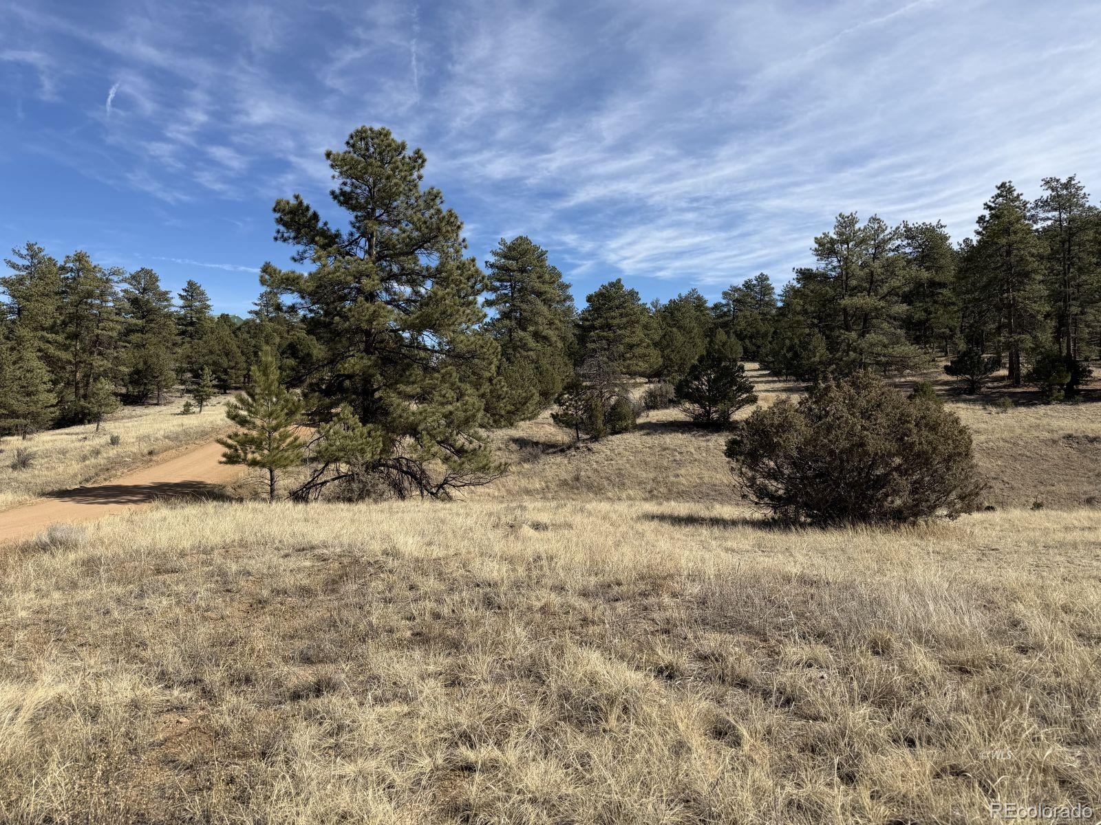 262 Harmon Drive Cotopaxi CO 81223