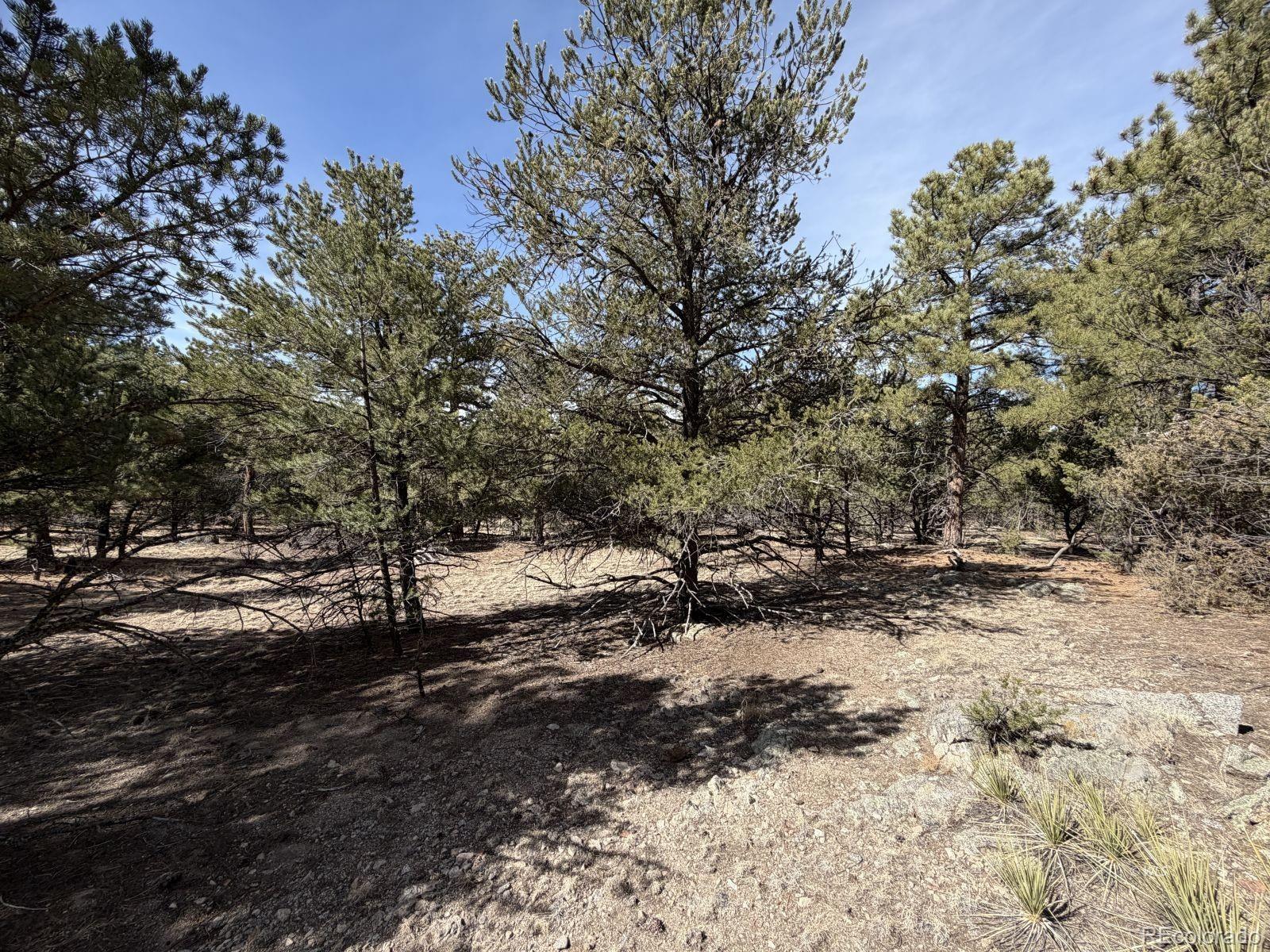 262 Harmon Drive Cotopaxi CO 81223