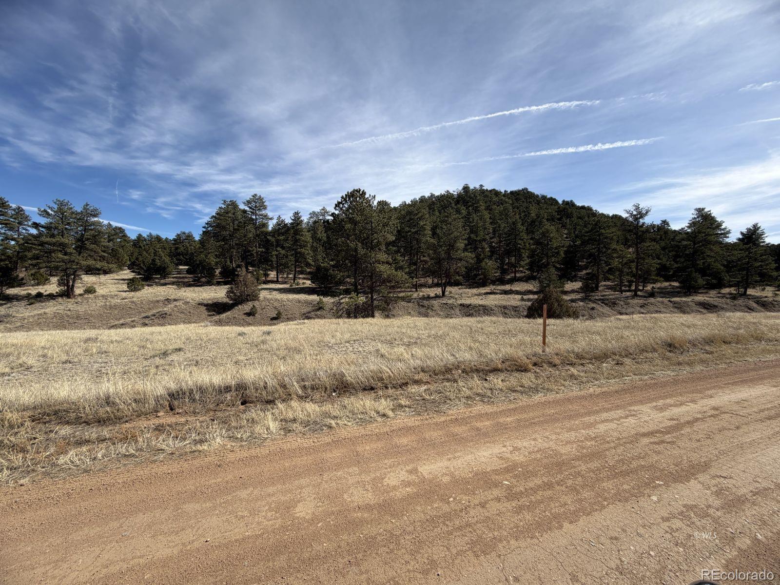262 Harmon Drive Cotopaxi CO 81223