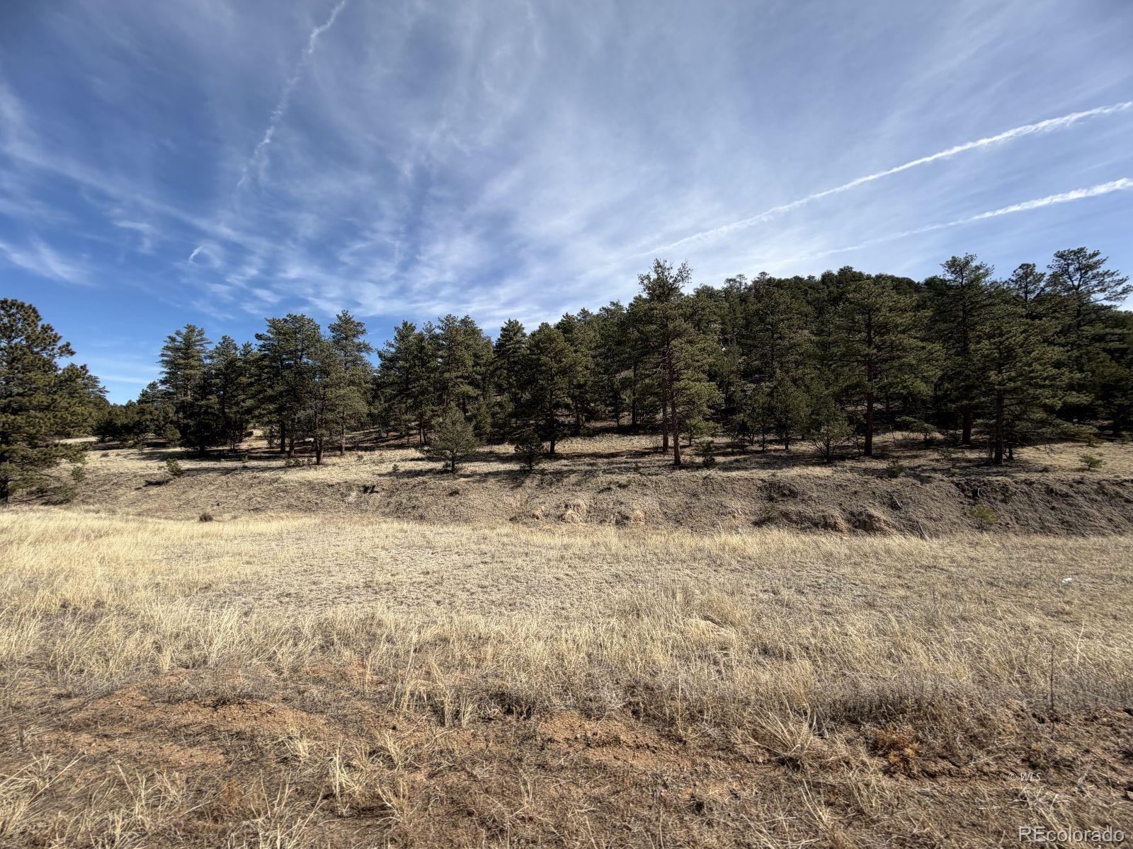 262 Harmon Drive Cotopaxi CO 81223