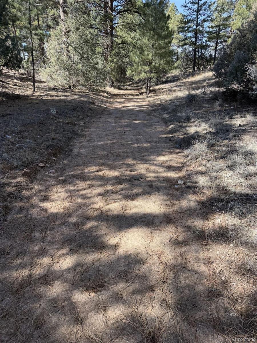 262 Harmon Drive Cotopaxi CO 81223