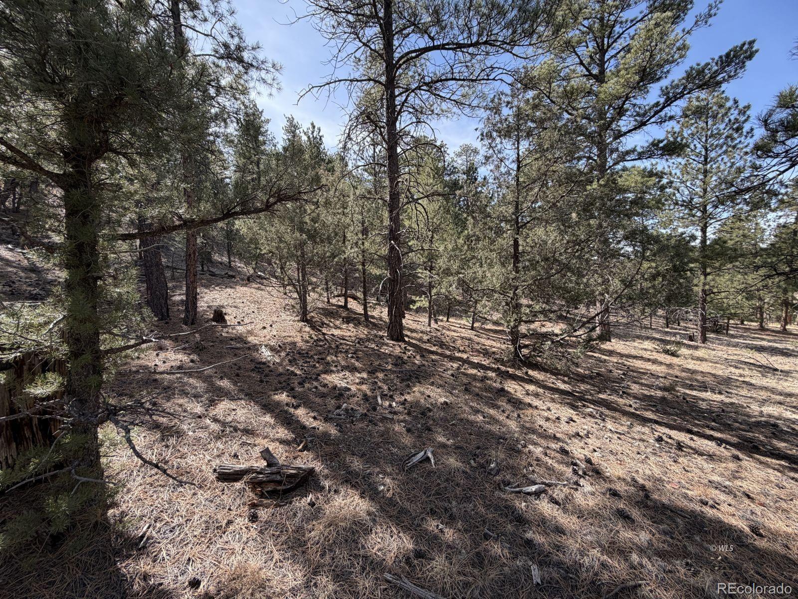 262 Harmon Drive Cotopaxi CO 81223