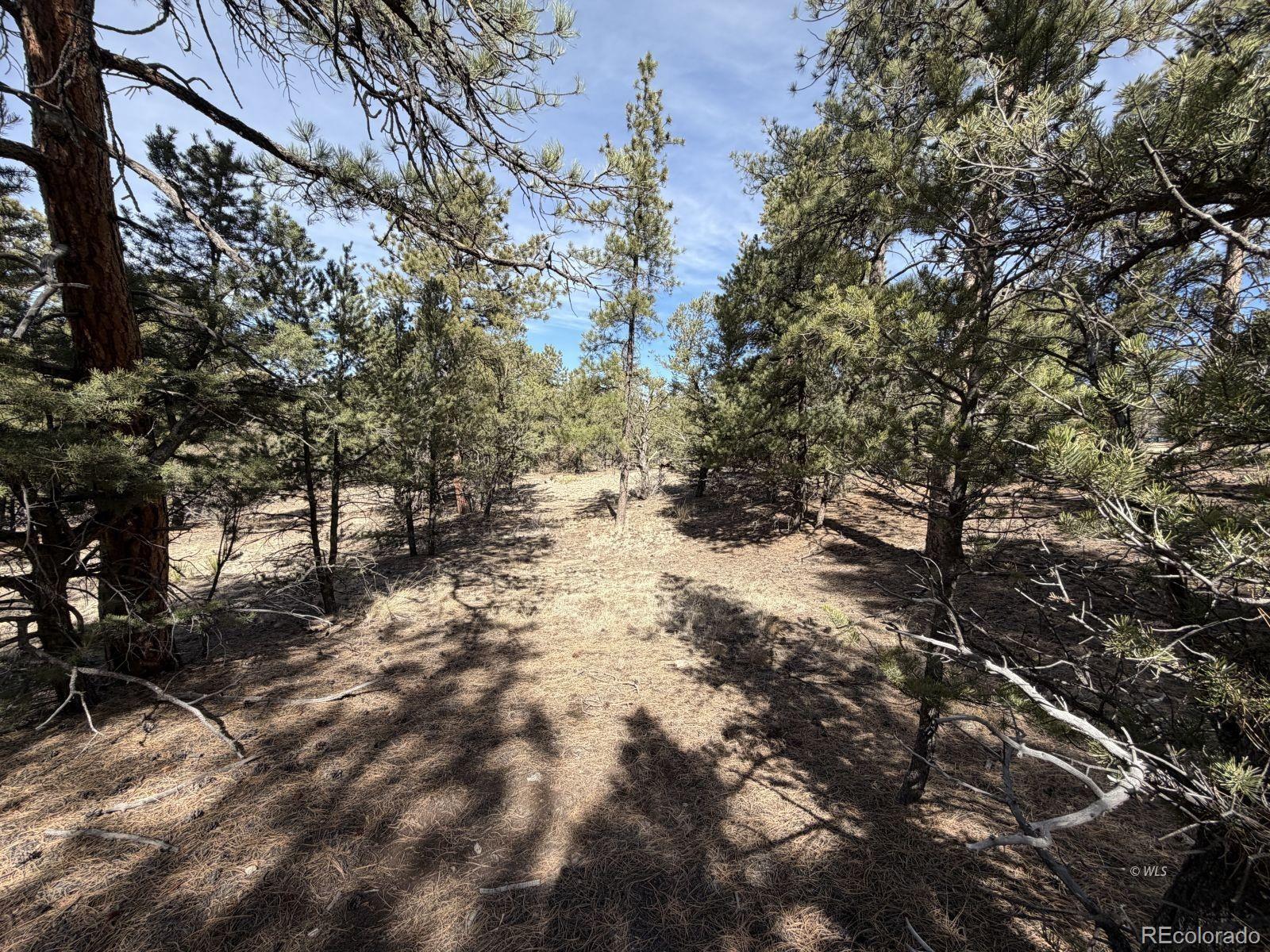 262 Harmon Drive Cotopaxi CO 81223