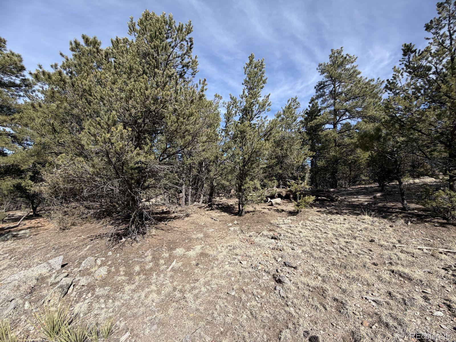 262 Harmon Drive Cotopaxi CO 81223