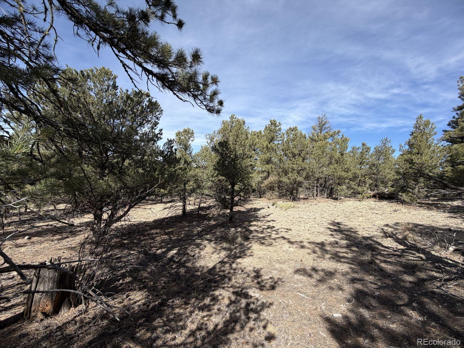 262 Harmon Drive Cotopaxi CO 81223