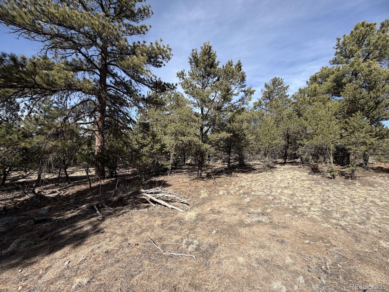 262 Harmon Drive Cotopaxi CO 81223